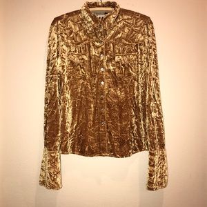 Talusa Rose Button Down Velvet Blouse